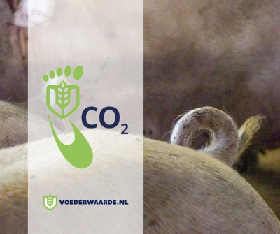 Het initiatief van VoederWaarde.nl in de borging van betrouwbare Carbon Footprint-data wordt opgevolgd